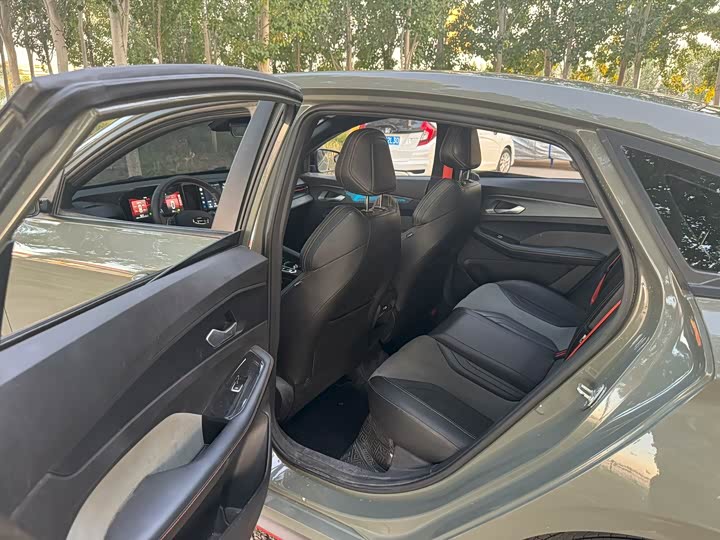 Фото 6 - Geely Binrui