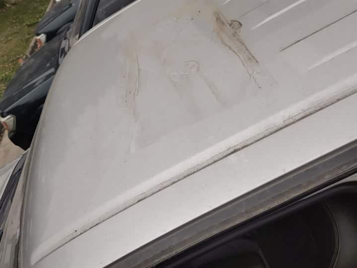 Фото 13 - Dongfeng Rich