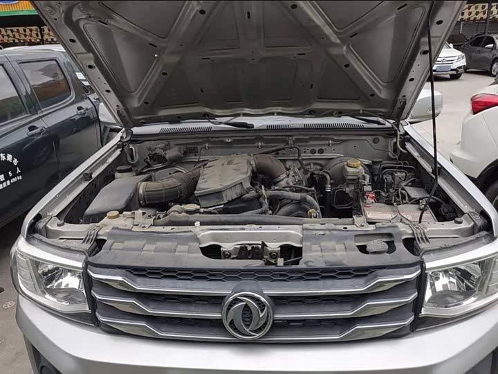 Фото 20 - Dongfeng Rich