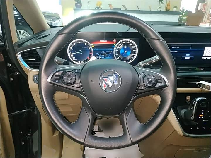 Фото 10 - Buick GL8 ES