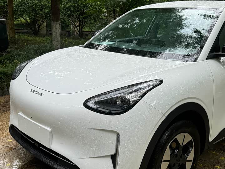 Фото 7 - Geely Galaxy Geome