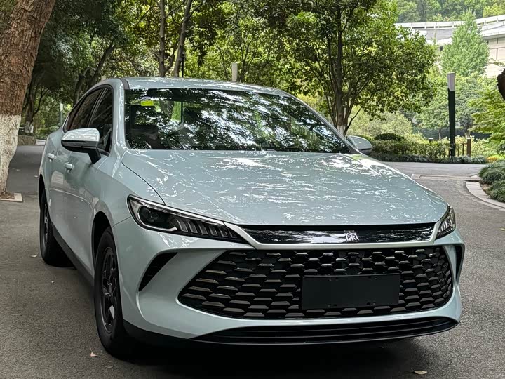 Фото 1 - BYD Qin Plus