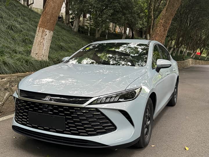 Фото 11 - BYD Qin Plus