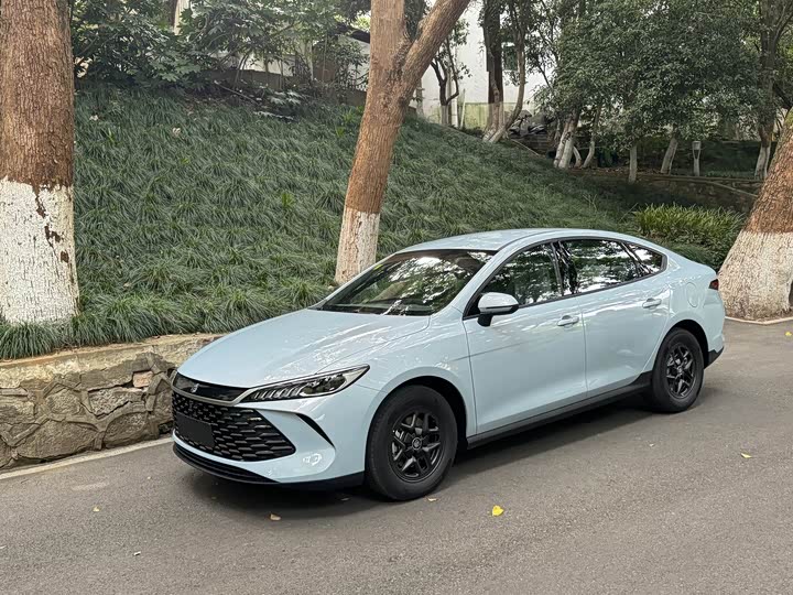 Фото 2 - BYD Qin Plus