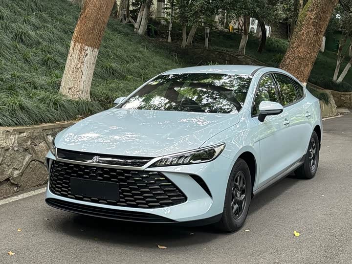 Фото 8 - BYD Qin Plus