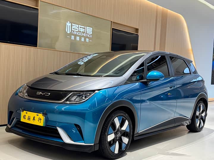 Фото 1 - BYD Dolphin