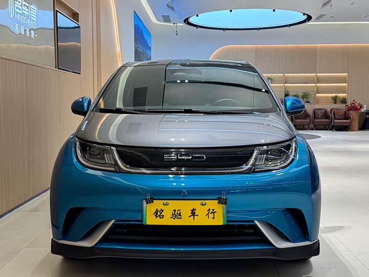 Фото 2 - BYD Dolphin