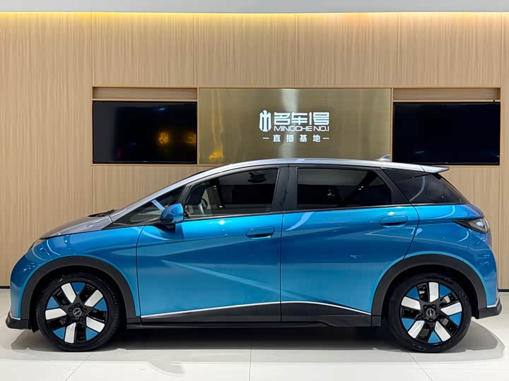 Фото 3 - BYD Dolphin