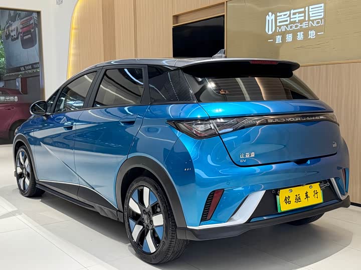 Фото 4 - BYD Dolphin