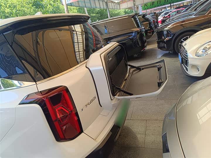 Фото 11 - GAC Trumpchi ES9