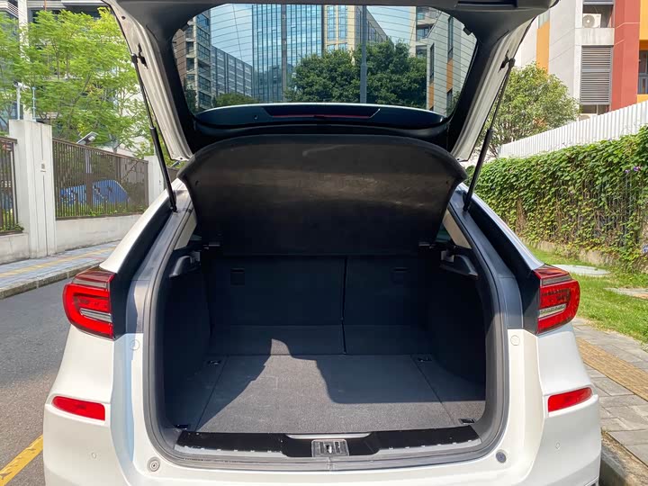 Фото 21 - Honda Avancier