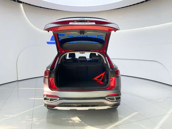 Фото 6 - Volkswagen Tayron X