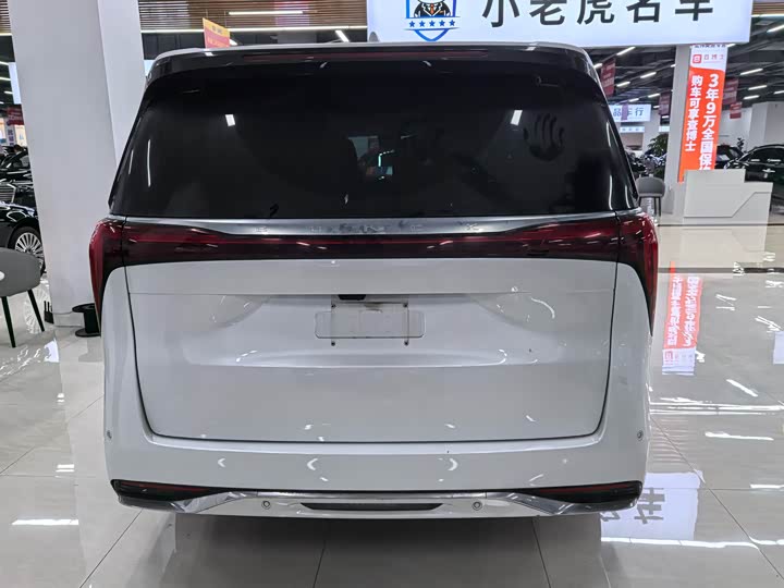 Фото 10 - Buick GL8 Century