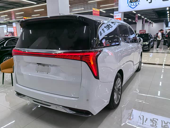 Фото 11 - Buick GL8 Century