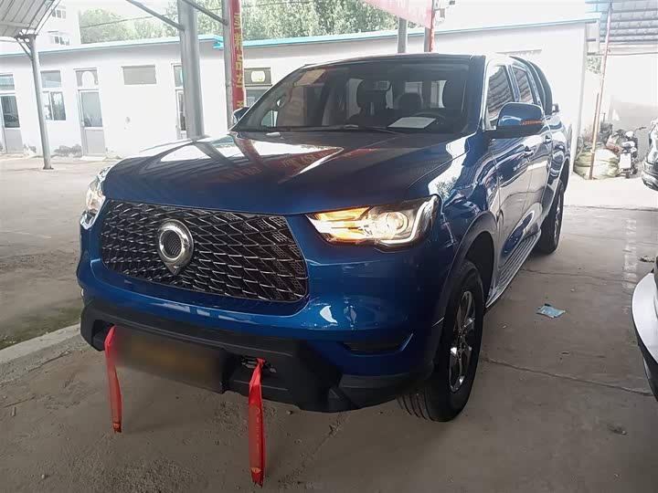 Фото 2 - Great Wall Pao