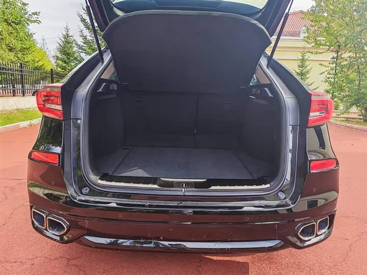 Фото 12 - Honda Avancier