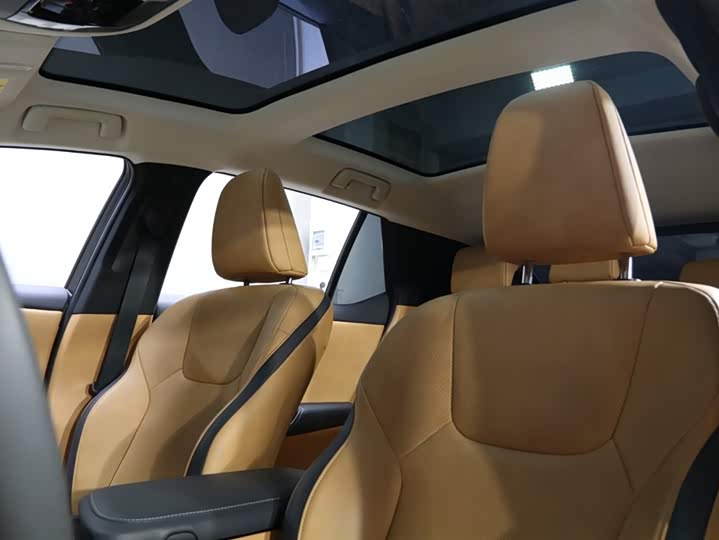 Фото 16 - Lexus RZ