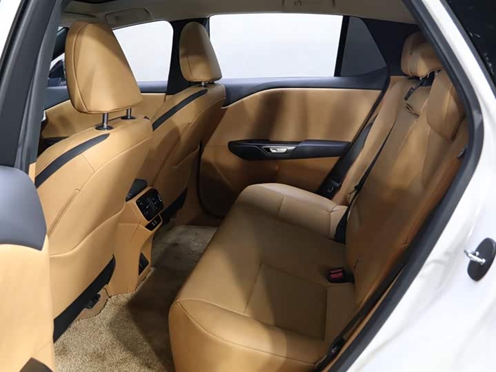 Фото 17 - Lexus RZ