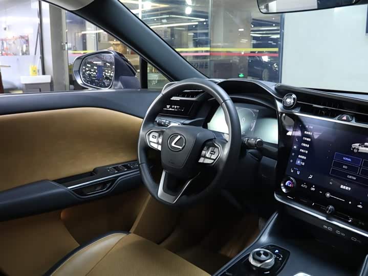 Фото 18 - Lexus RZ