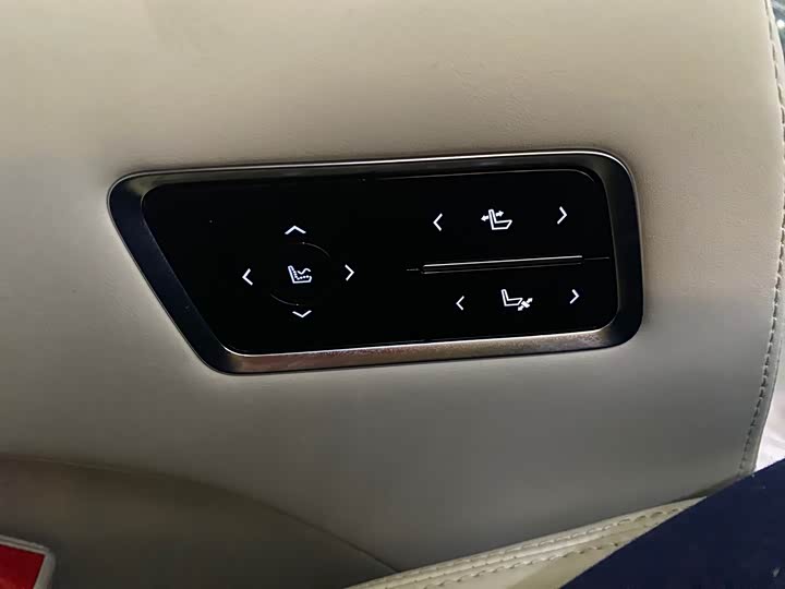 Фото 10 - Buick GL8 Hybrid