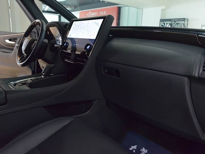 Фото 15 - Toyota Alphard