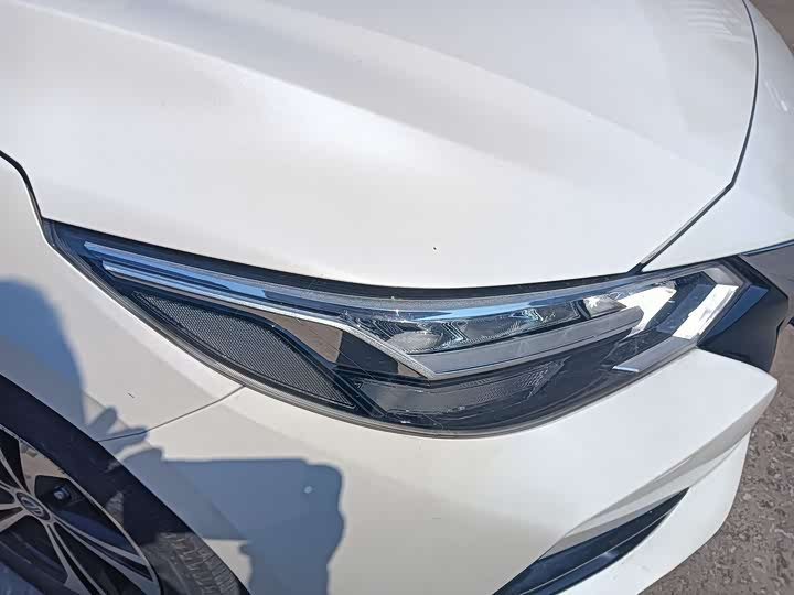 Фото 12 - Nissan Sylphy