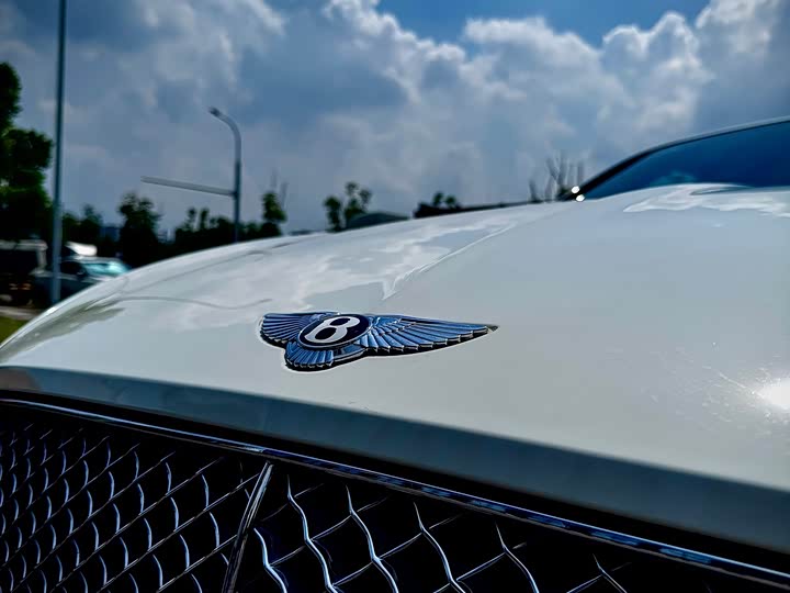 Фото 8 - Bentley Continental GT