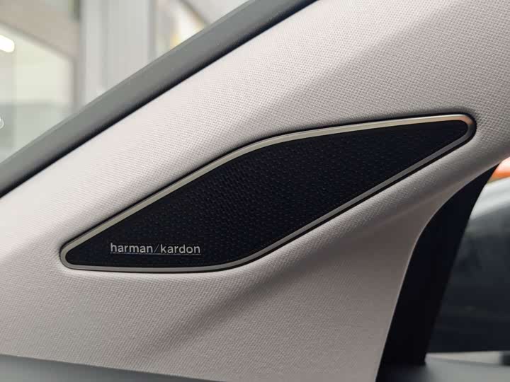 Фото 23 - Volkswagen Talagon