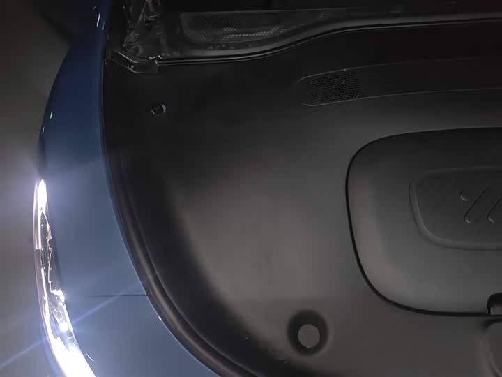 Фото 21 - IM motors L6