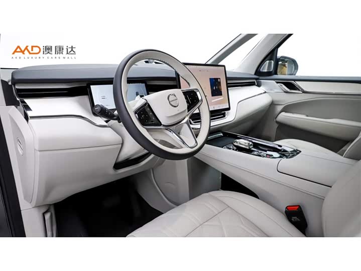 Фото 6 - Volvo EM90