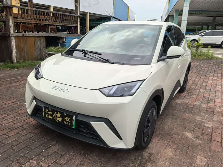 Фото 1 - BYD Seagull