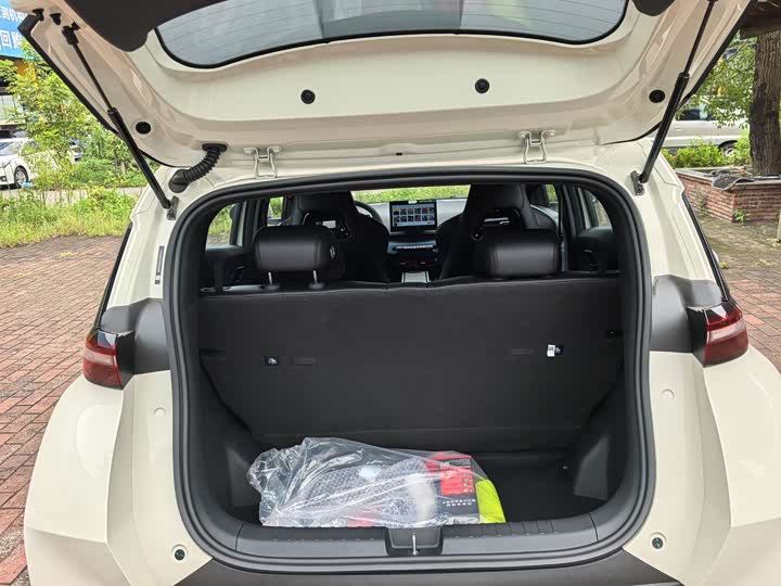 Фото 11 - BYD Seagull