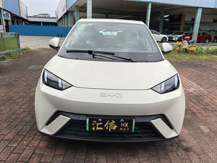 Фото 2 - BYD Seagull