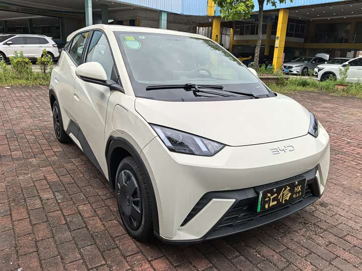 Фото 3 - BYD Seagull