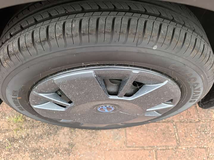 Фото 4 - BYD Seagull