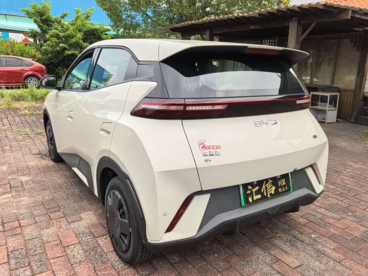 Фото 9 - BYD Seagull