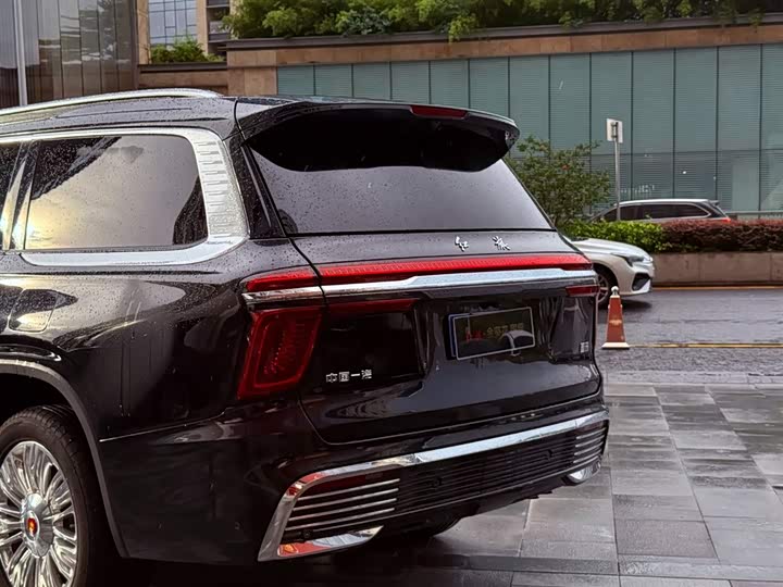 Фото 4 - Hongqi LS7 (Guoyao)