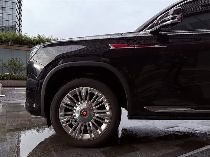 Фото 7 - Hongqi LS7 (Guoyao)