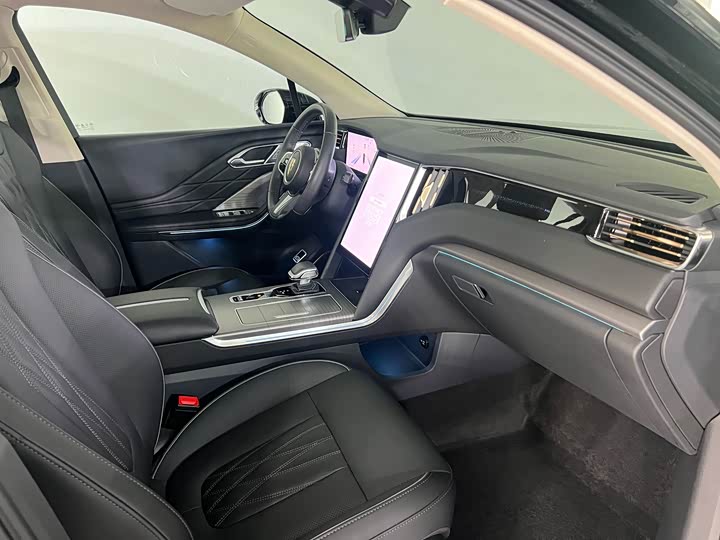 Фото 12 - Hongqi HS7 Hybrid