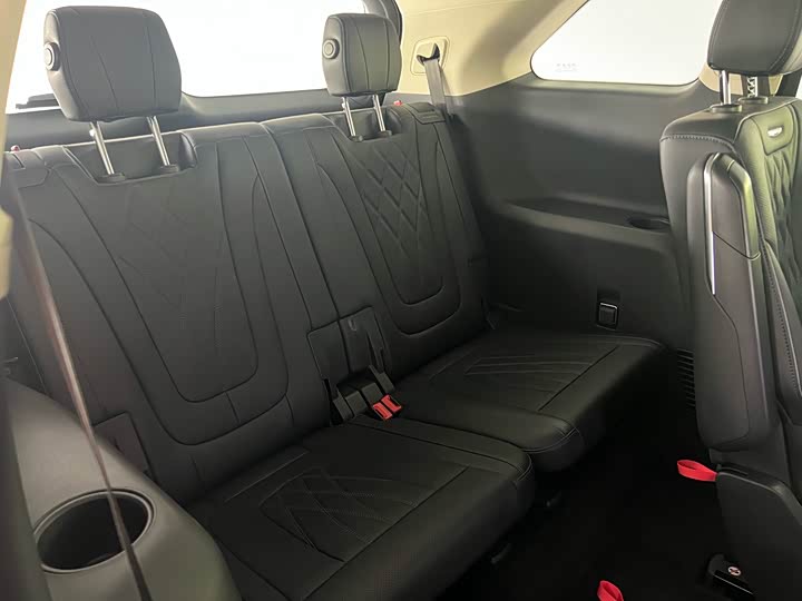 Фото 13 - Hongqi HS7 Hybrid