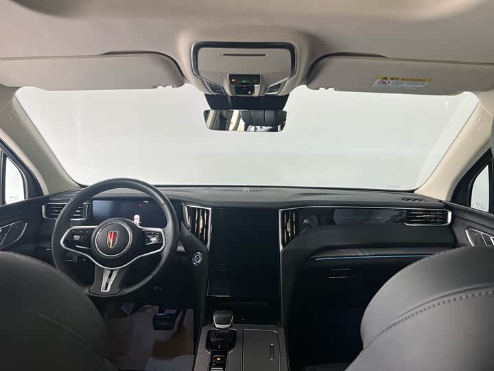 Фото 6 - Hongqi HS7 Hybrid