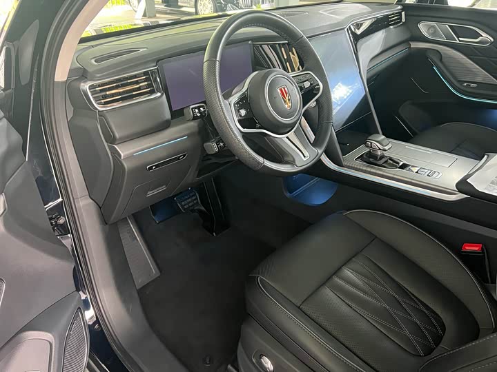 Фото 9 - Hongqi HS7 Hybrid