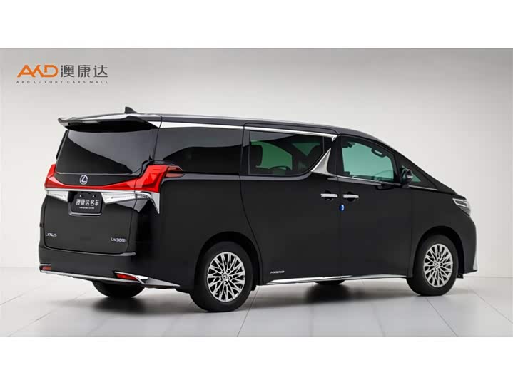 Фото 3 - Lexus LM