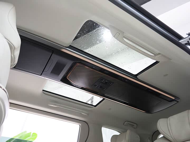 Фото 19 - Lexus LM