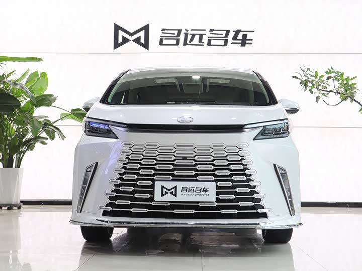 Фото 2 - Lexus LM