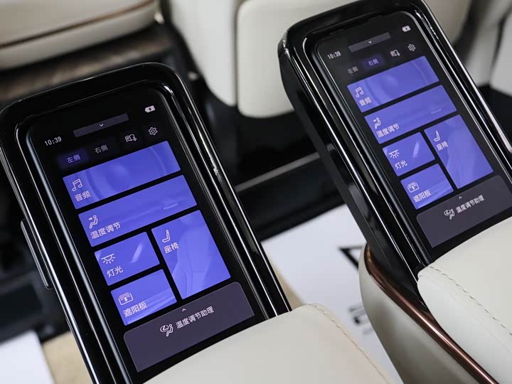 Фото 21 - Lexus LM