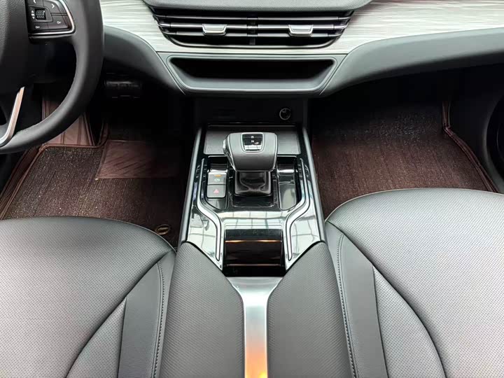 Фото 13 - Hongqi E-QM5