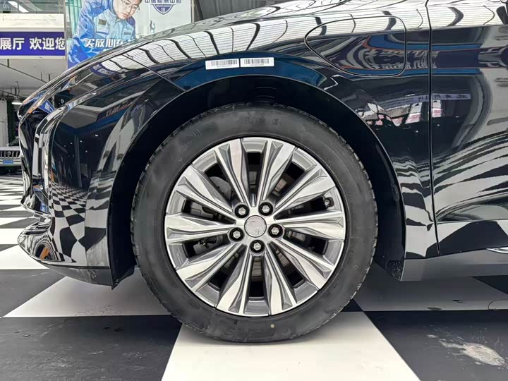 Фото 9 - Hongqi E-QM5