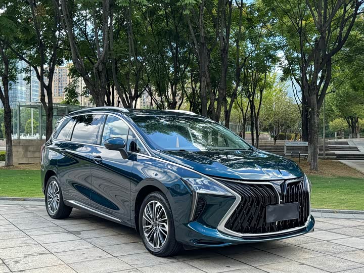 Фото 3 - Dongfeng Forthing Yacht