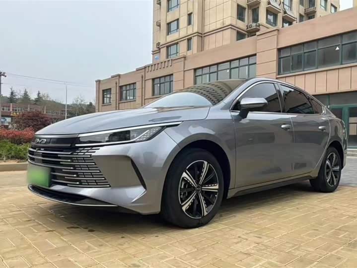 Фото 2 - BYD Destroyer 05